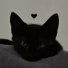 lengengg.28