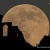moonblackwhite1