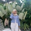 mirdamss_