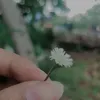 ppeachberry
