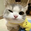aulleuy