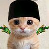 acatsukki