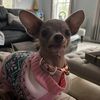 citygirlrissriss