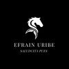 efrainandresuribe
