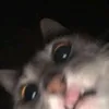 3nderp1