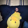 _daraay_