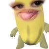 zegarrayamile