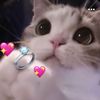 emi.emilyyy88