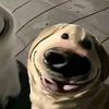 user09012009l