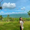 alen_slg