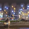 febe_schepens