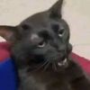 davepdavep