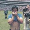 nachoarroyo3
