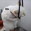 hhh3950