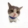 tgcybt