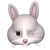 lapin1216