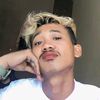 dandi240