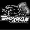 bringas_audio