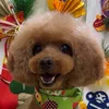choco_no_nichijo