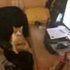 sillysleep2