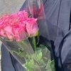 welwel22__
