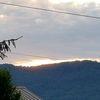firecracker_cricket