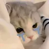 mupoi18