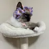 nyanlinphyo23