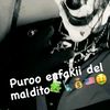 alex_66ss