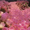 nhi_nguyen.293