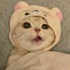 gyohsoa