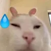 cachepdotbiengen