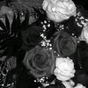 kay_kay_273