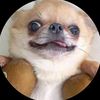 lizi_4_3