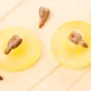 pepin2raisin