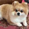 userputxw870da