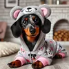 nudli_thedachshund