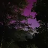 jadalynn_32