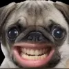 jhnlesterr