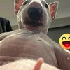hfsjkjcril4