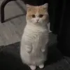 nyamnyamu99