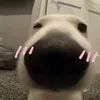 channxinhdep