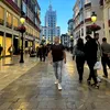 nestorportal0