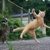 nekomaru2121