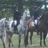 nikolaandhorse
