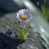 hiengiadung006