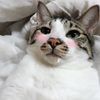 bonnie_751207