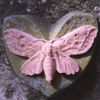 xxhappy..xx062