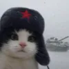 _ancfy