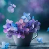 ning_oh9
